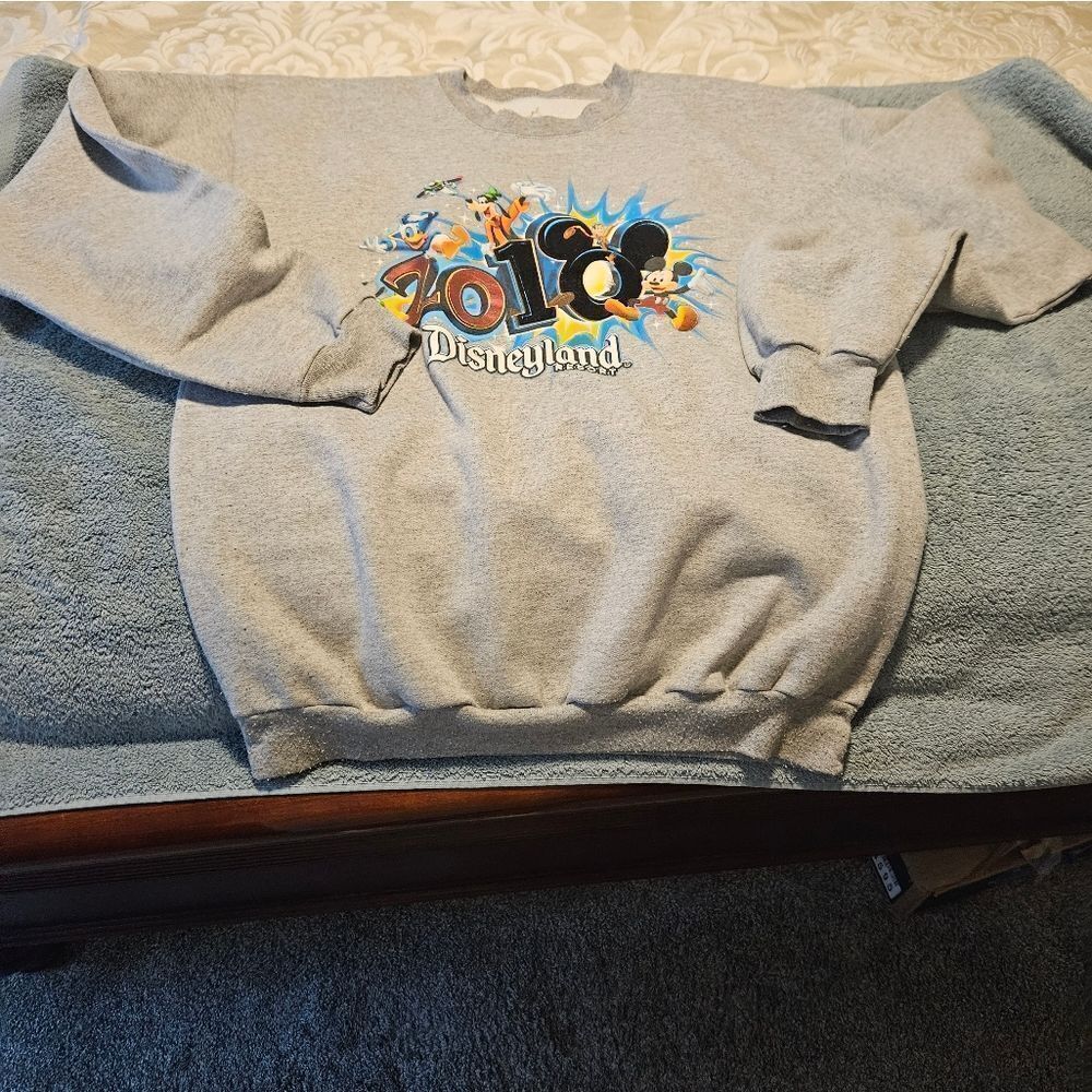 Authentic Disneyland 2010 Sweatshirt Size L
